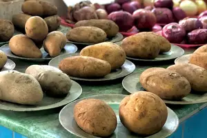 吃出健康，快速降压食物TOP5