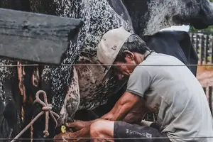 吃出暖意，告别冰冷——怕冷人必备食物清单