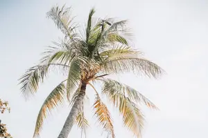 告别牛皮癣烦恼，最佳治疗方案大揭秘！