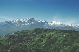 快速识别！手口足病常见症状一览