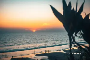 医生教你：肺癌康复攻略