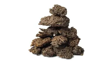喝普洱瘦身,轻松减肥! 喝普洱瘦身,轻松减肥!