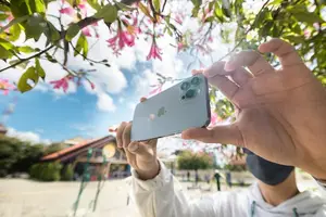 告别抬头纹，展现年轻美肌