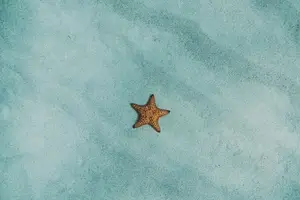 快速解决出汗过多的烦恼！