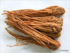 当归的作用与功效 当归的作用以及功效？