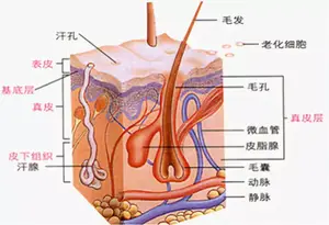 去红血丝最有效的方法？ 去红血丝最好的方法？