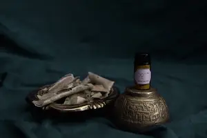 治疗共济失调，恢复健康自如。