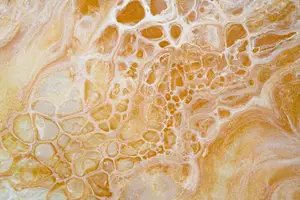 润喉养颜，健康生活！喝蜂蜜水的10大好处