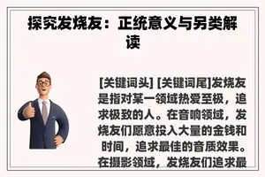 探究发烧友：正统意义与另类解读