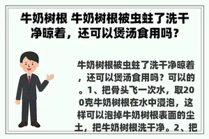 牛奶树根 牛奶树根被虫蛀了洗干净晾着，还可以煲汤食用吗？