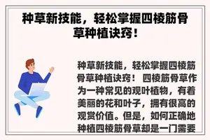 种草新技能，轻松掌握四棱筋骨草种植诀窍！