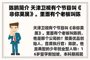 陈鸥简介 天津卫视有个节目叫《非你莫属》。里面有个老板叫陈鸥，他是那个公司的？