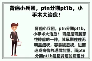 肾癌小兵团，ptn分期pt1b，小手术大治愈！