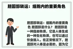 胆固醇转运：细胞内的重要角色