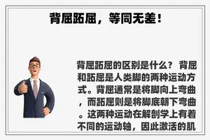 背屈跖屈，等同无差！