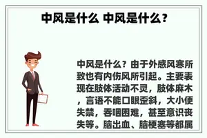 中风是什么 中风是什么？
