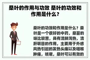 桑叶的作用与功效 桑叶的功效和作用是什么？