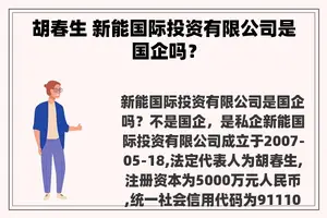 胡春生 新能国际投资有限公司是国企吗？