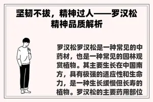 坚韧不拔，精神过人——罗汉松精神品质解析