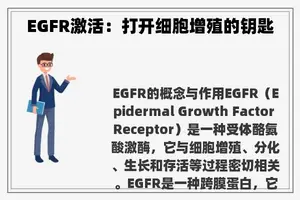 EGFR激活：打开细胞增殖的钥匙