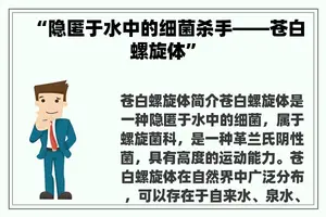 “隐匿于水中的细菌杀手——苍白螺旋体”