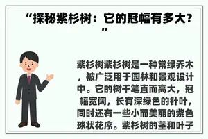 “探秘紫杉树：它的冠幅有多大？”