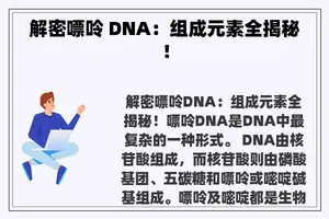 解密嘌呤 DNA：组成元素全揭秘！