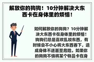 解放你的狗狗！10分钟解决大东西卡在身体里的烦恼！