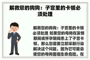 解救您的狗狗：子宫里的卡顿必须处理