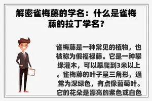 解密雀梅藤的学名：什么是雀梅藤的拉丁学名？