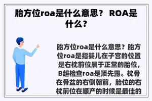 胎方位roa是什么意思？ ROA是什么？