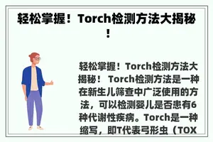 轻松掌握！Torch检测方法大揭秘！