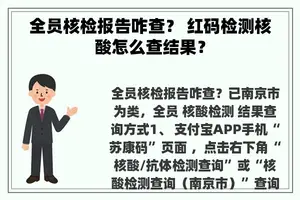 全员核检报告咋查？ 红码检测核酸怎么查结果？