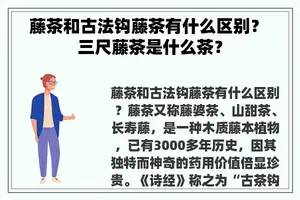 藤茶和古法钩藤茶有什么区别？ 三尺藤茶是什么茶？