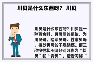 川贝是什么东西呀？ 川贝