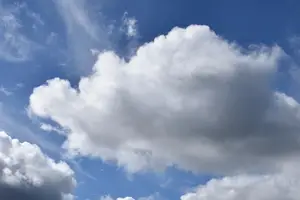 「清凉仲夏,好味露露杏仁露」 「清凉仲夏,好味露露杏仁露」
