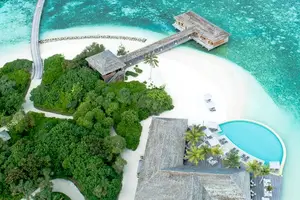 48小时核酸检测计时指南,轻松解决烦恼! 48小时核酸检测计时指南,轻松解决烦恼!