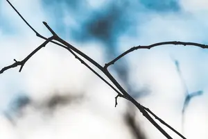 8个宫颈癌警示，多留意身体变化！