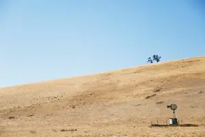 不传染！迅速解决急性荨麻疹的方法！