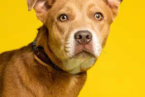 【超感人!变性人如何成为母亲】 【超感人!变性人如何成为母亲】