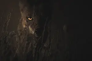 一秒变美：眼窝深陷，轻松驱走倦容