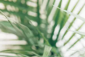 【滋润修护,健康呵护】紫草油,让你的肌肤水润如初! 【滋润修护,健康呵护】紫草油,让你的肌肤水润如初!