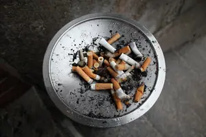 西红柿尼古丁,让你健康抽烟! 西红柿尼古丁,让你健康抽烟!