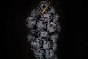 解酒神器，秒速清醒！