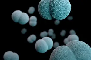 试试这个：【解密】宝宝舌苔厚白，看这里！
