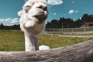 说出您的疑虑,军团病检测即刻开始! 说出您的疑虑,军团病检测即刻开始!