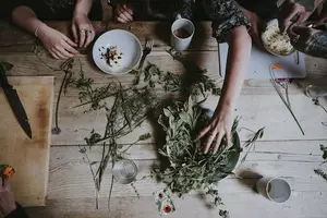 赤茯苓,神奇草药,助你健康。 赤茯苓,神奇草药,助你健康。