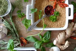 踏入美食世界,探索胃的秘密! 踏入美食世界,探索胃的秘密!