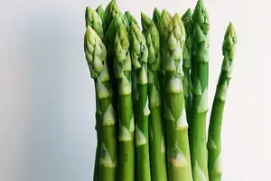 轻松减肥,拥有健康肠道!葛根粉的神奇效果解密! 轻松减肥,拥有健康肠道!葛根粉的神奇效果解密!