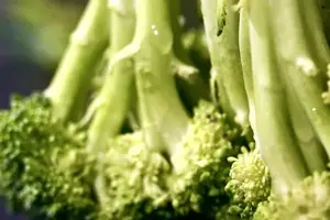 轻松告别皱纹，拥有年轻肌肤